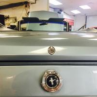 Back trunk lid