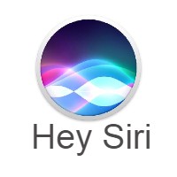 Works with Siri home kit